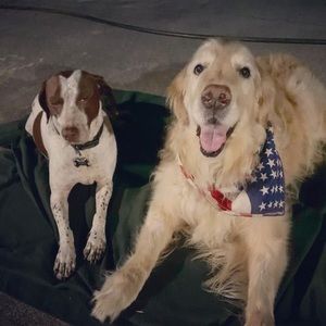 Meet your Posher, Nick